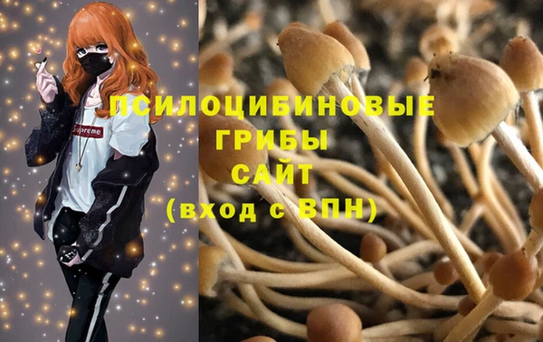 spice Верея