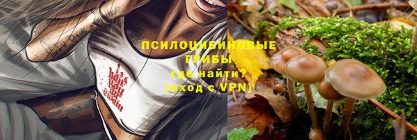 прущая мука Верхний Тагил