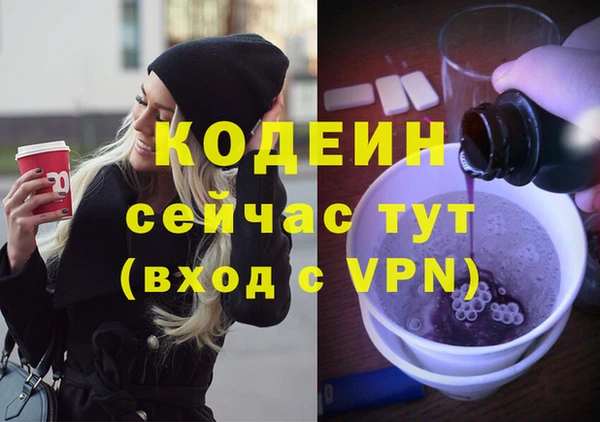 стафф Бородино