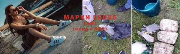 стафф Бородино